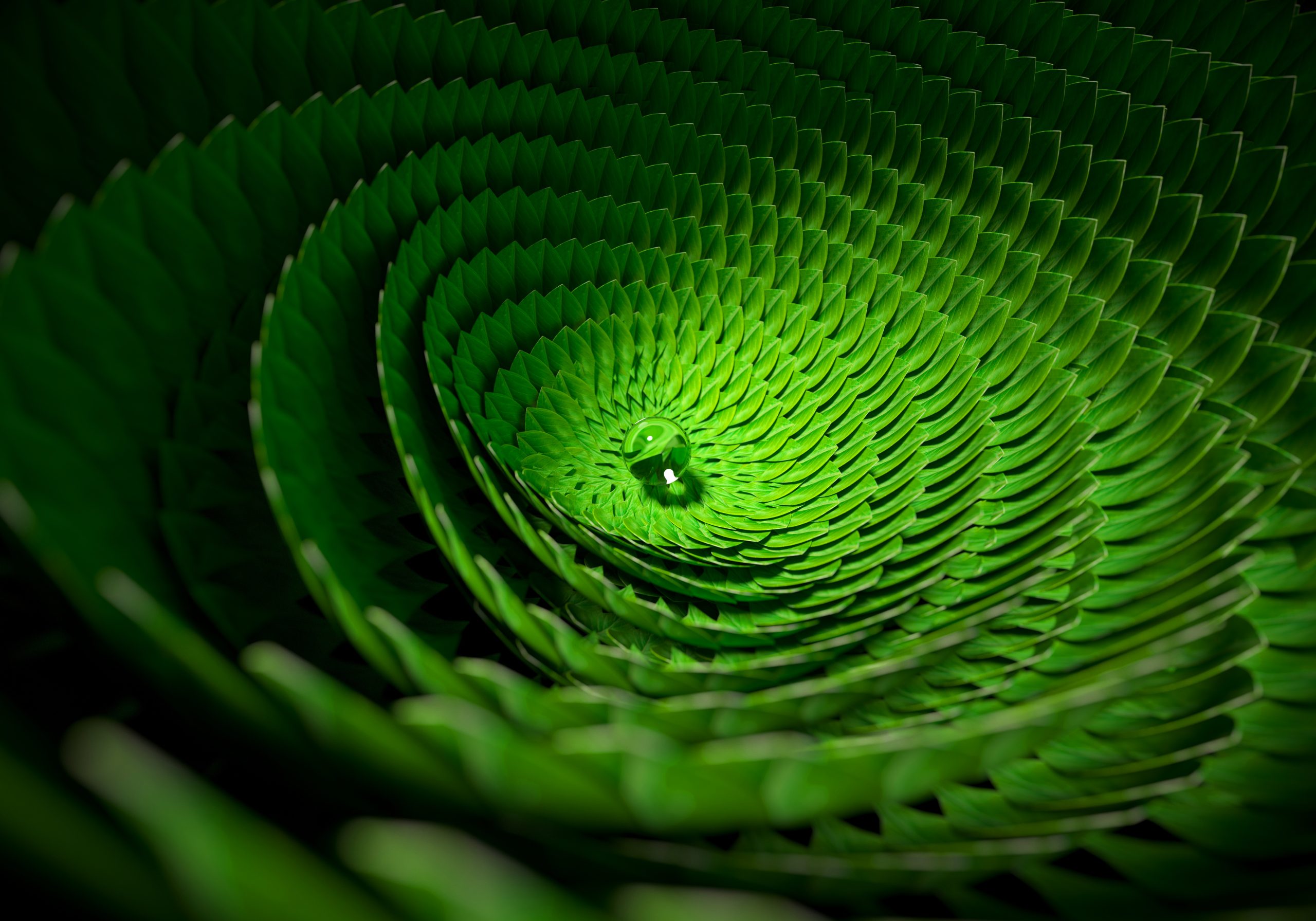 Close-up of a green succulent plant forming a spiral pattern with a water droplet in the center. Appears detailed and vibrant.